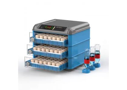 Care and Incubation Of Hatching Eggs