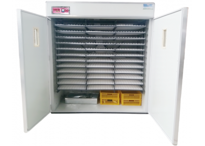 How to Incubate Chicken Eggs ?