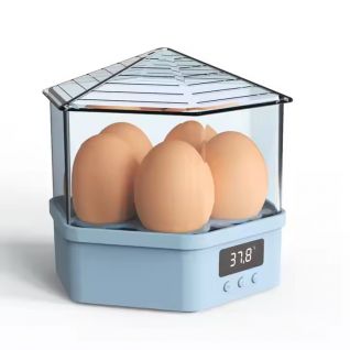5 Eggs Capacity Household Mini Egg Incubators