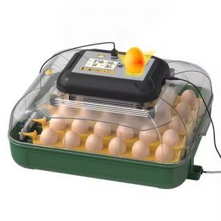 30 Eggs Capacity Household New Mini Egg Incubators