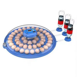 52 Eggs Capacity Household New Mini Egg Incubators