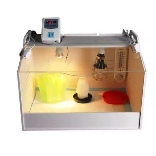 Large Size Breeding Box Brooder for Baby Poultry Birds VB3