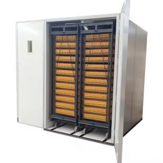 9856 Eggs Capacity Large Industrial Eggs Incubator for Farms Poultry